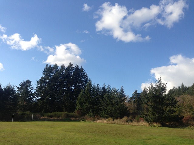 place