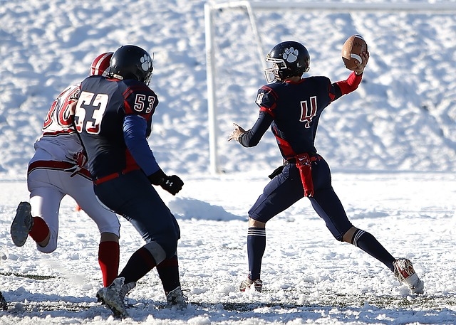 鄧肯-弗格森欲執教埃弗頓拒絕皇馬邀請.