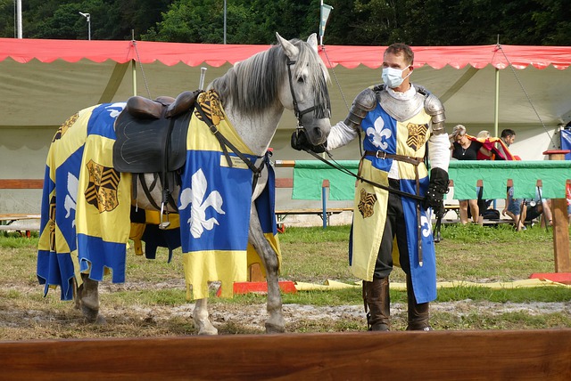 他在赛后接 他在赛后接