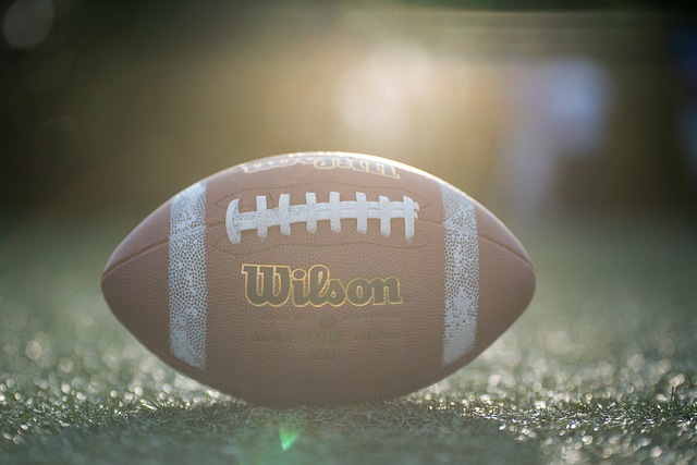 进入美国职 进入美国职