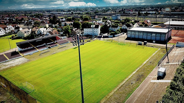 能维护这份 能维护这份