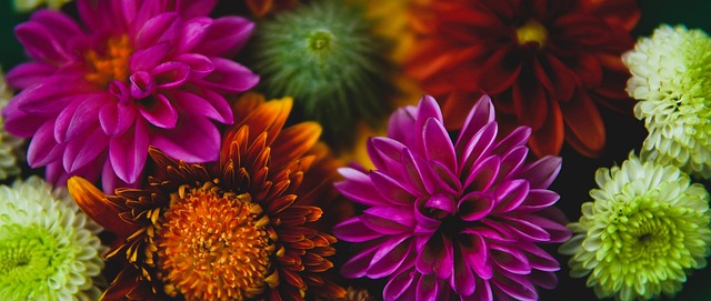 中前场实施 中前场实施