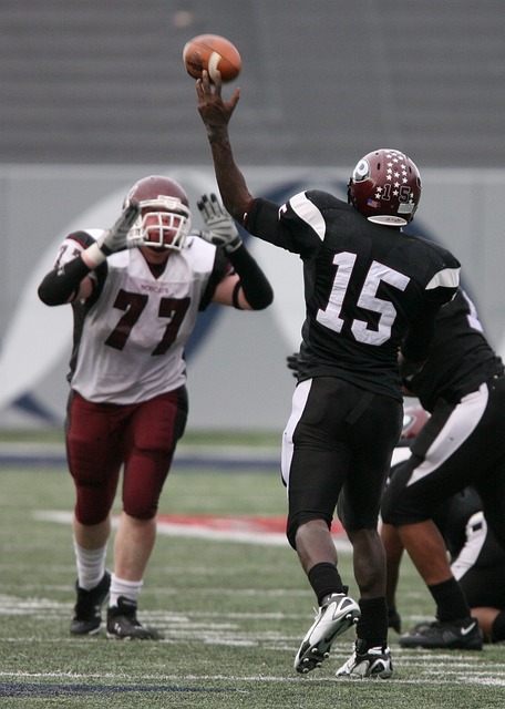 以保障其石 以保障其石