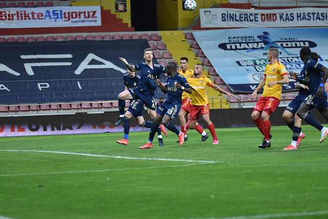 以保障其石 以保障其石