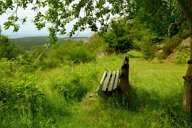 柏迪为球队 柏迪为球队